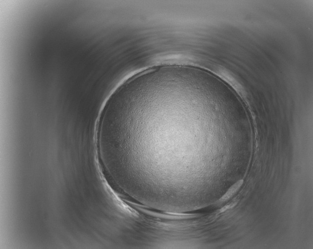 X0000072991392200607290002