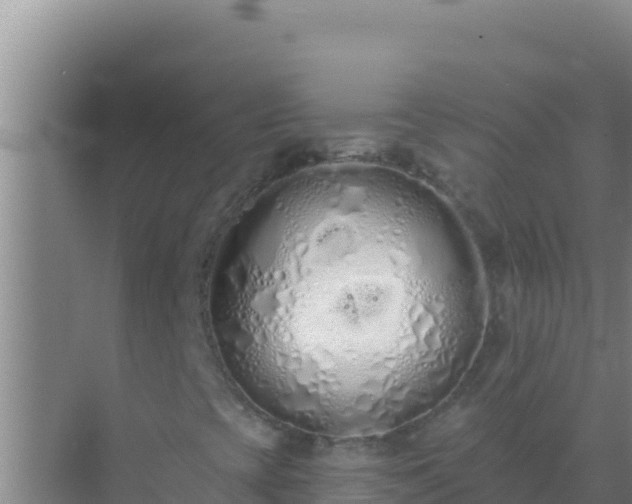 X0000072991393200607290001