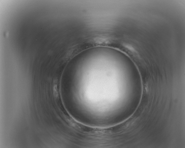 X0000072991396200607290001