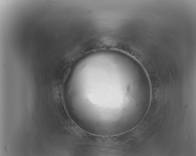 X0000072991397200607290001