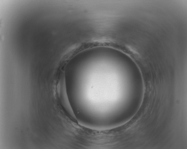 X0000072991398200607290001