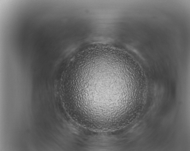 X0000072991399200607290001