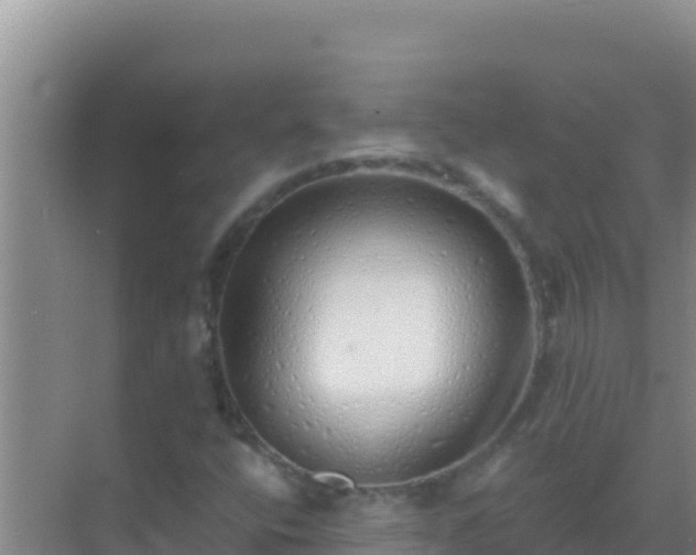 X0000072991400200607290001