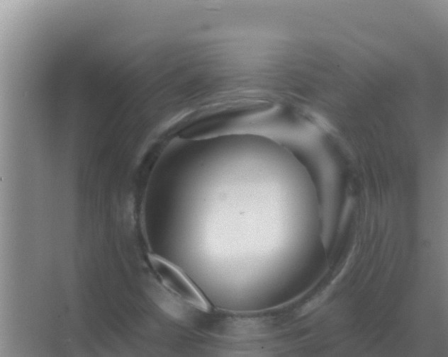 X0000072991402200607290001