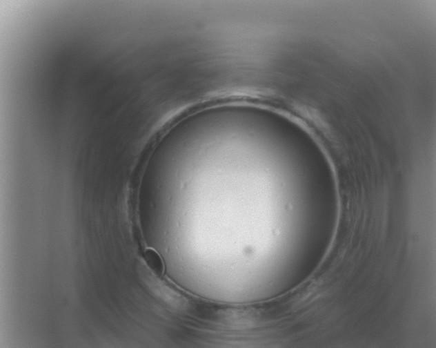 X0000072991404200607290002