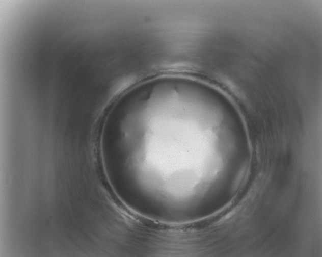 X0000072991405200607290002