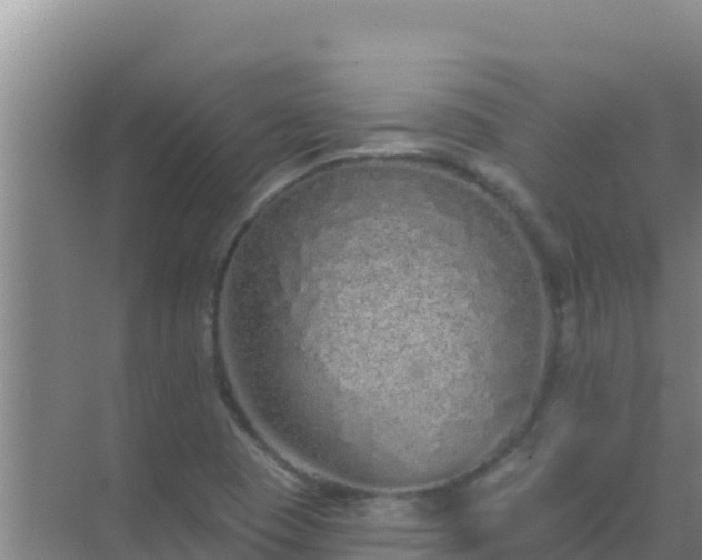 X0000072991409200607290002