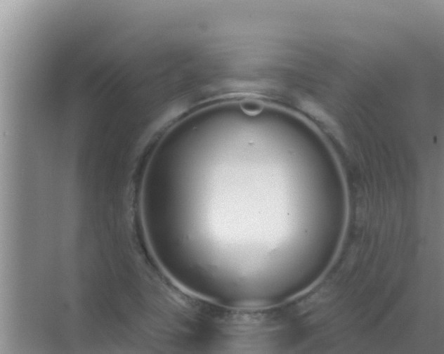 X0000072991411200607290002