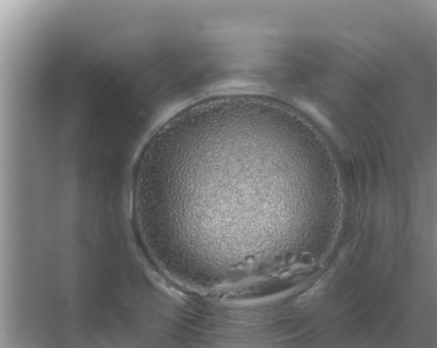 X0000072991413200607290002