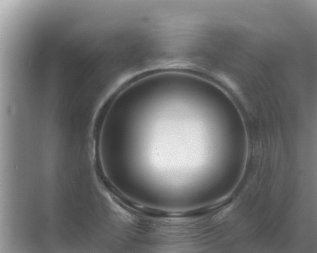 X0000072991414200607290002