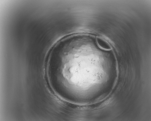 X0000072991415200607290002