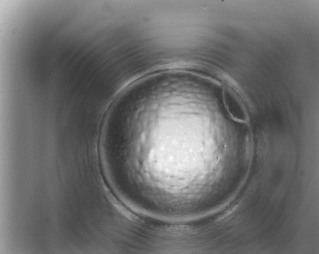 X0000072991417200607290002