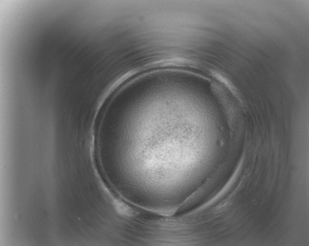 X0000072991418200607290002