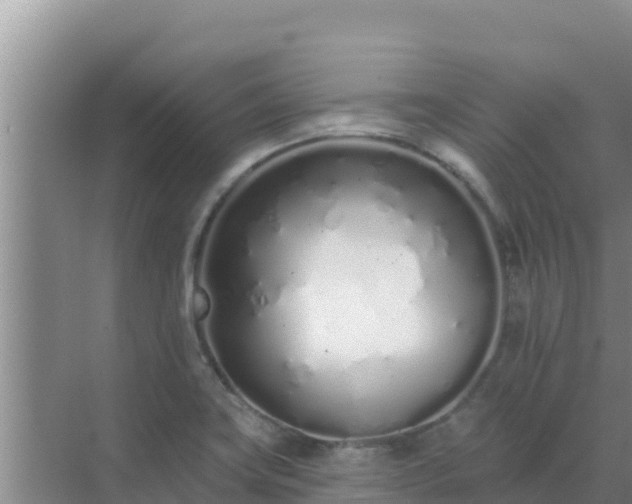 X0000072991419200607290002