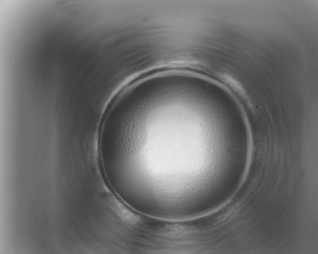 X0000072991420200607290002