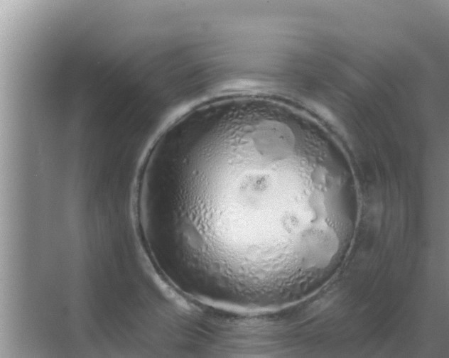 X0000072991421200607290002