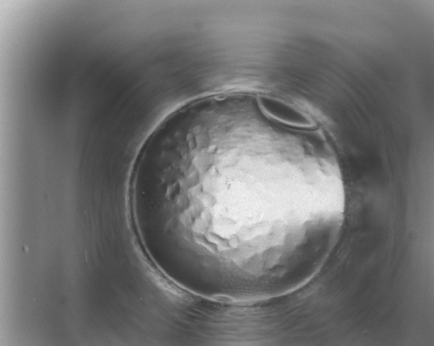 X0000072991423200607290002