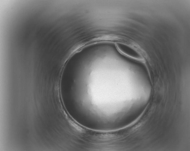 X0000072991425200607290002