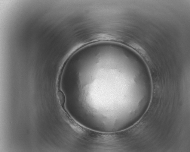 X0000072991427200607290002