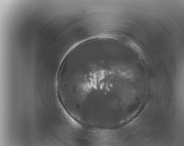 X0000072991428200607290002