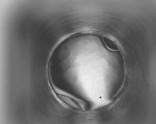 X0000072991429200607290002