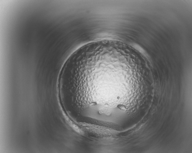 X0000072991431200607290002