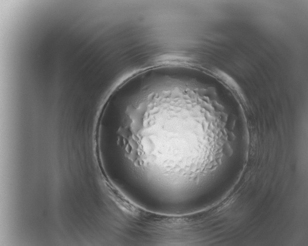 X0000072991435200607290002