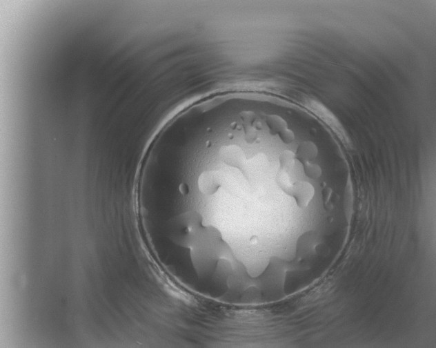 X0000072991436200607290002