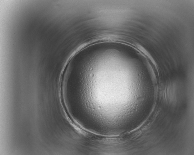 X0000072991437200607290002