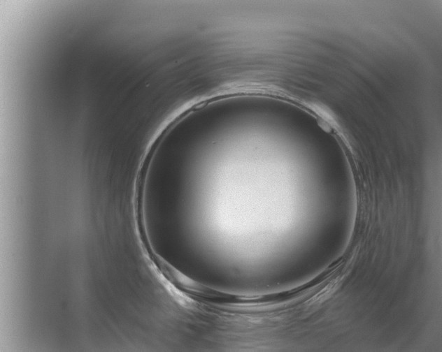 X0000072991438200607290002