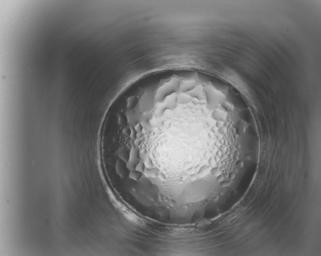 X0000072991439200607290002