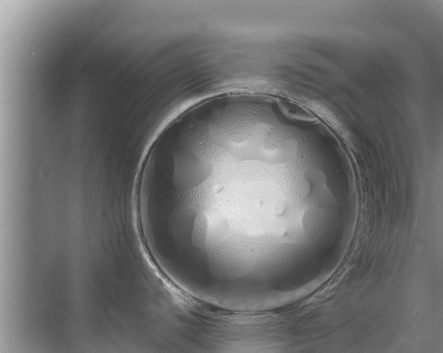 X0000072991440200607290002