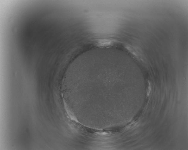 X0000072991441200607290001