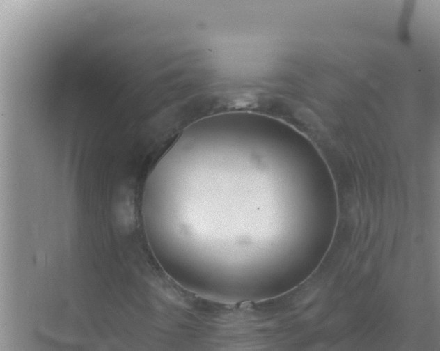 X0000072991442200607290001