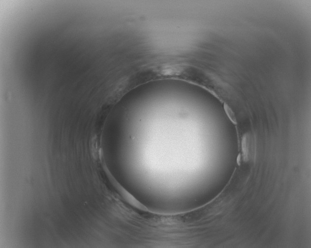 X0000072991443200607290001