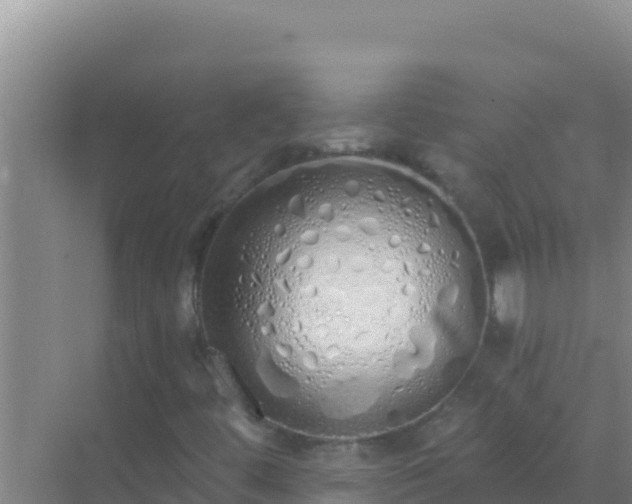 X0000072991444200607290001