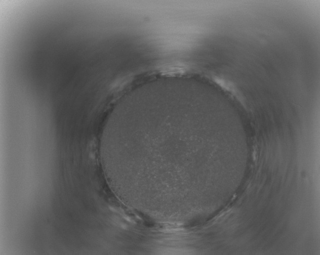 X0000072991445200607290001