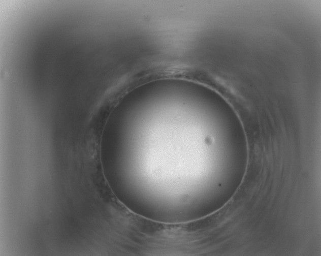 X0000072991447200607290001