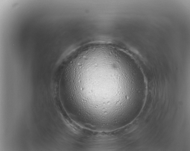 X0000072991448200607290001