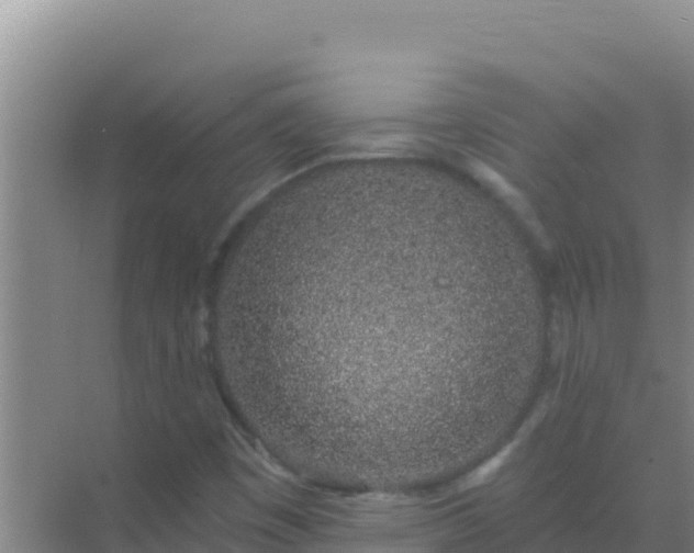 X0000072991449200607290001