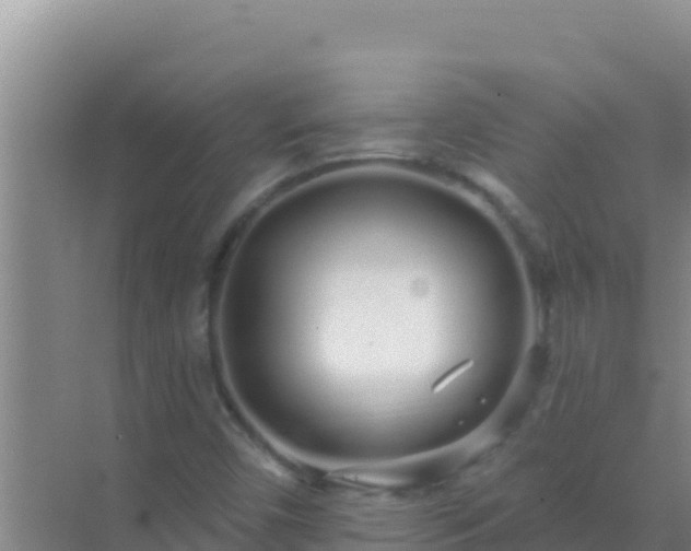 X0000072991450200607290001