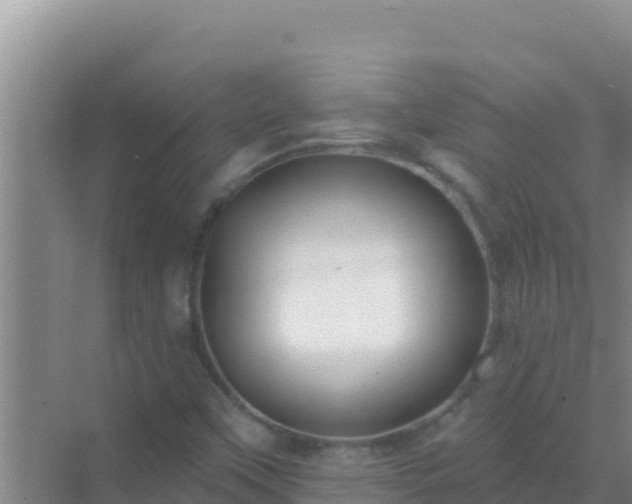 X0000072991451200607290001