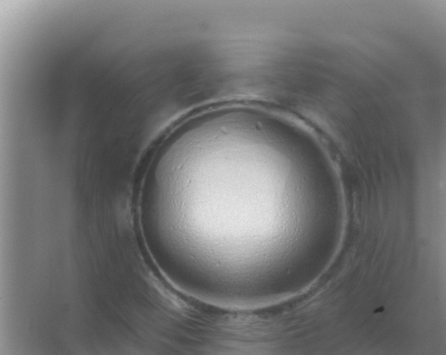 X0000072991452200607290001