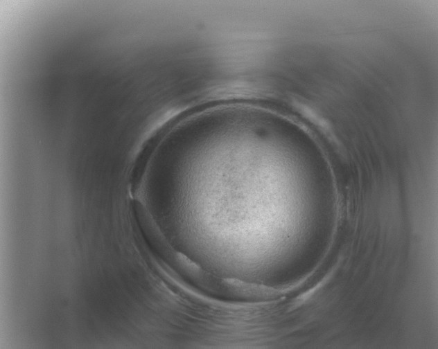 X0000072991453200607290001