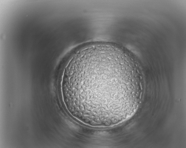 X0000072991454200607290001