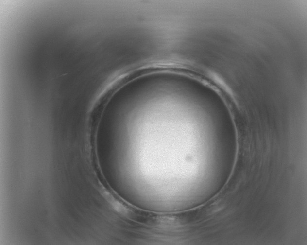 X0000072991456200607290001