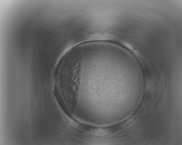 X0000072991459200607290001