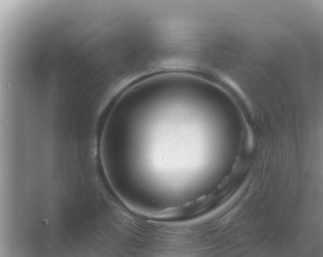 X0000072991461200607290001