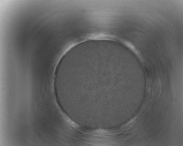 X0000072991463200607290001