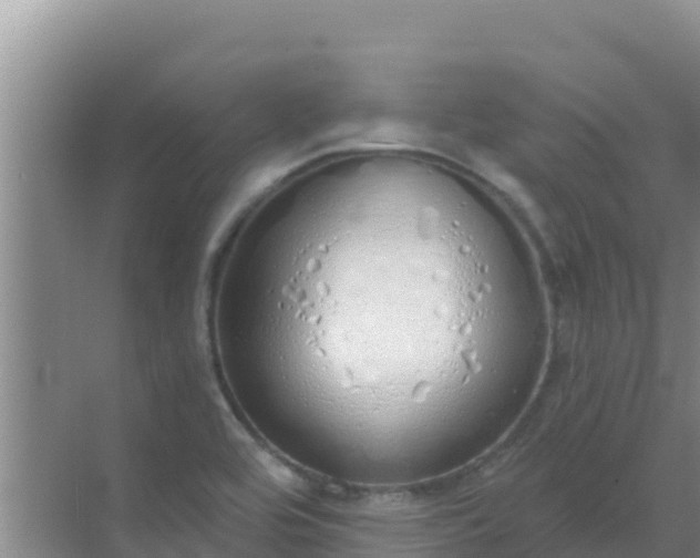 X0000072991464200607290001